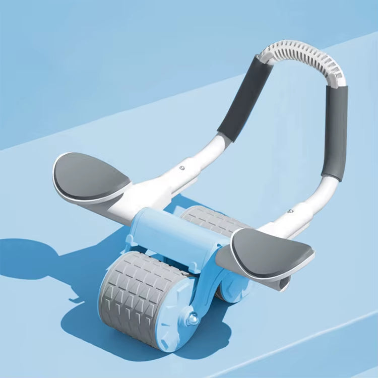 Gym Abdominal Fitness Equipment