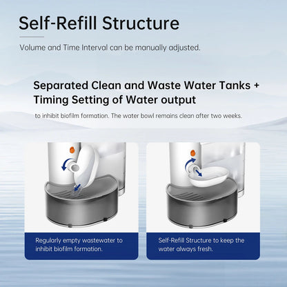 Pouring Pet Water Dispenser